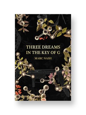 cover image of Three Dreams in the Key of G